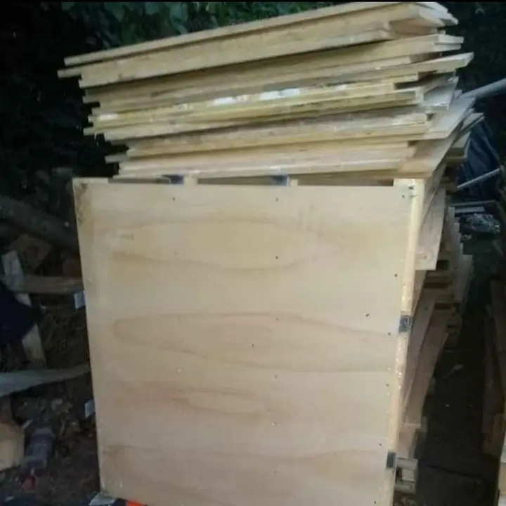 Vendo fenolicos 1200 cada uno 120x110 15mm de espesor