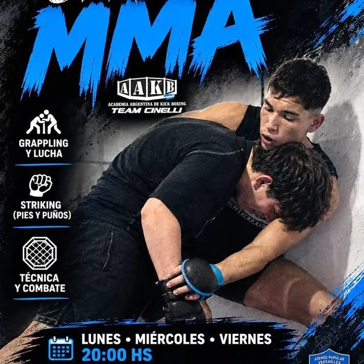 Artes marciales mixtas / MMA