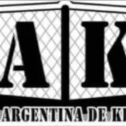 Clases artes marciales mixtas / MMA