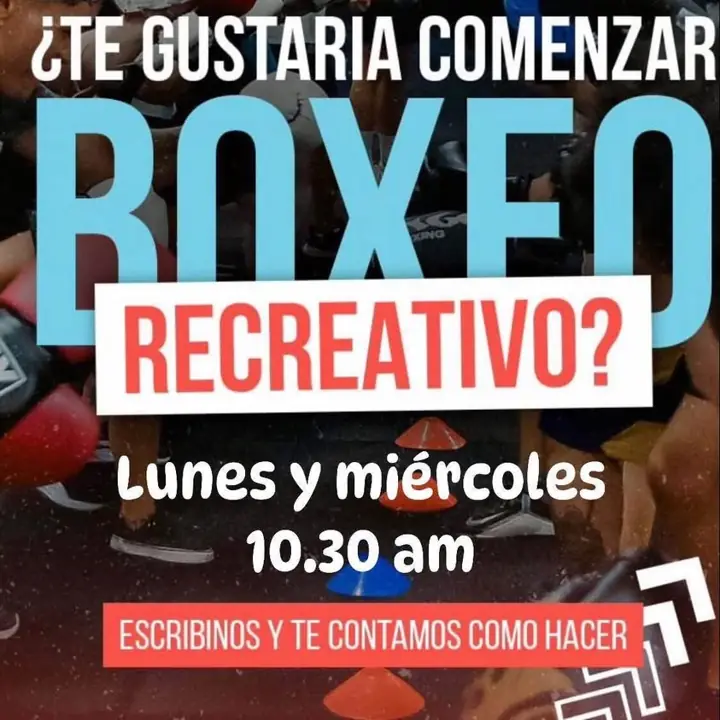 Boxeo/ Guantes