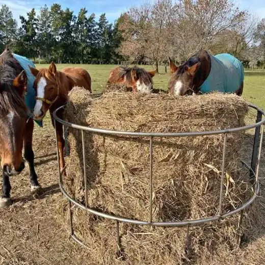 Comederos portarrollos vacuno equino