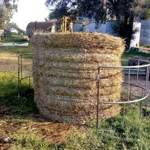 Comedero porta rollo