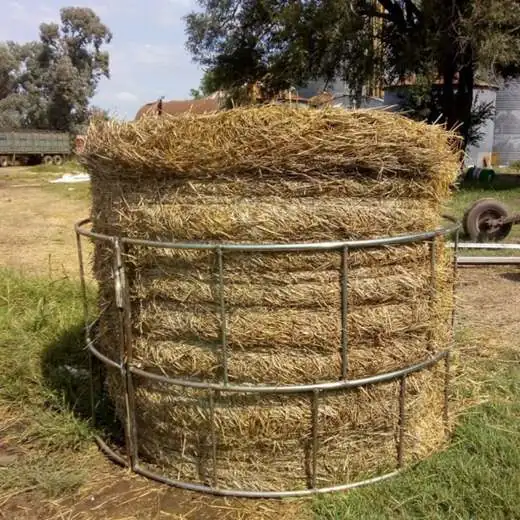 Portarrollos comederos para animales