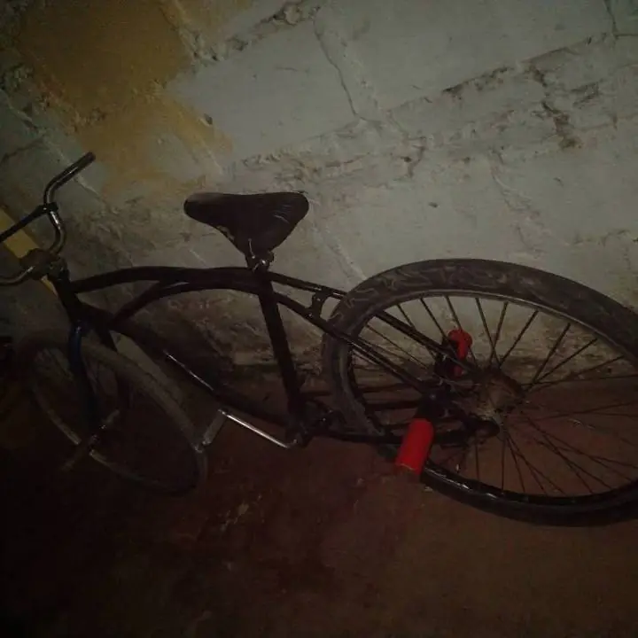 Vendo permuto