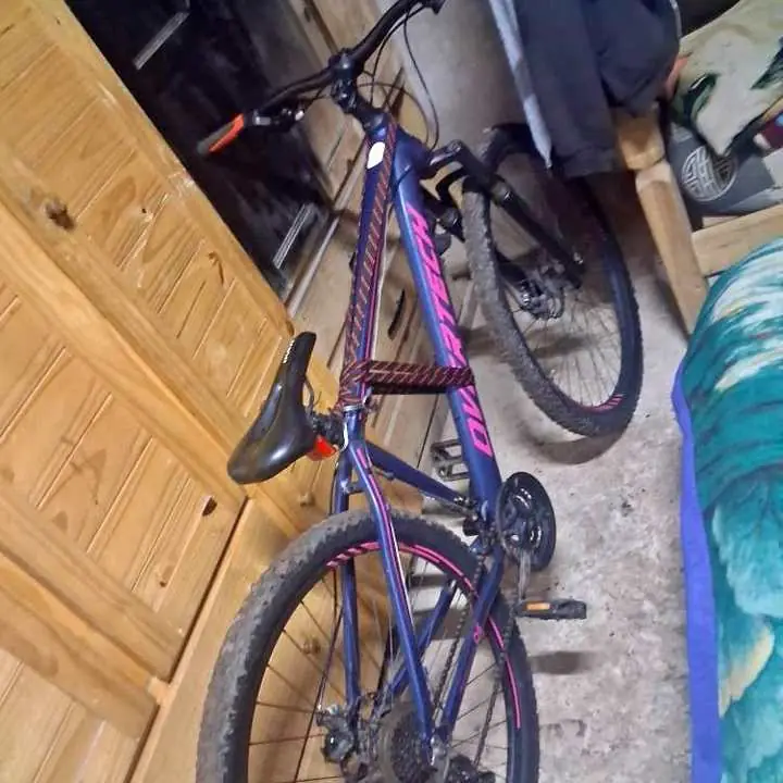 Vendo permuto
