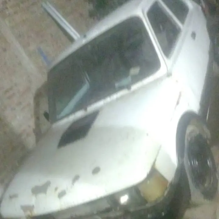 Vendo permuto