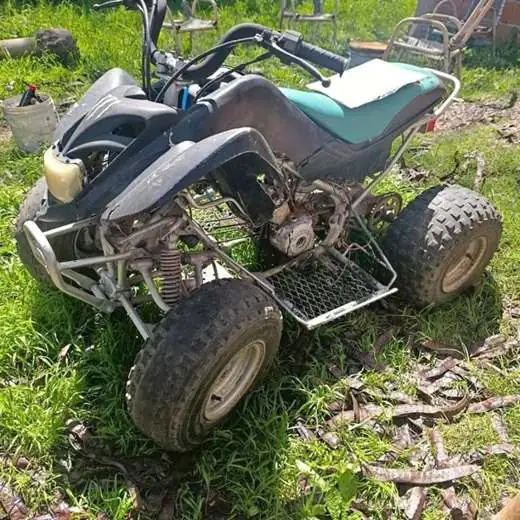 Cuatriciclo Gilera 110
