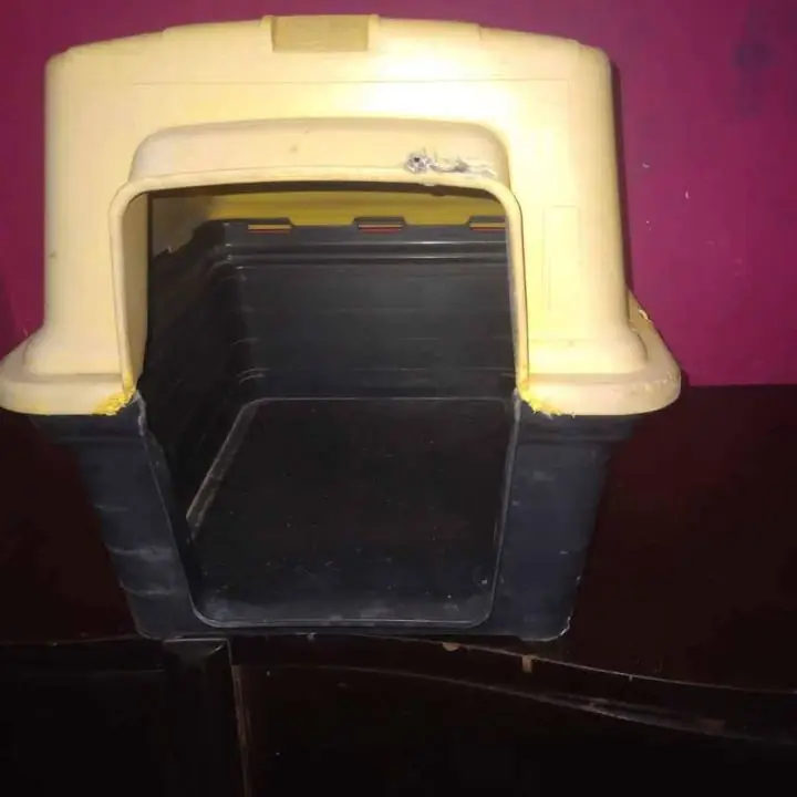 Cucha para perro