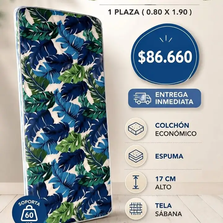 Colchon 1 plaza modelo eco