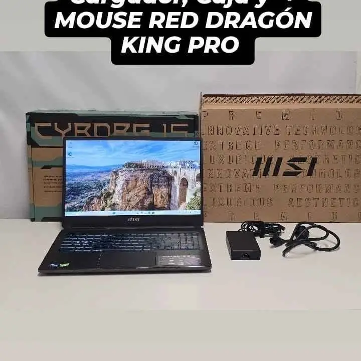 Notebook Gamer MSI Cyborg 15 A13V i7 13 gen.64 GB Ram 2 TB SSD 6 GB vram rtx 4050 + Cargador, Caja