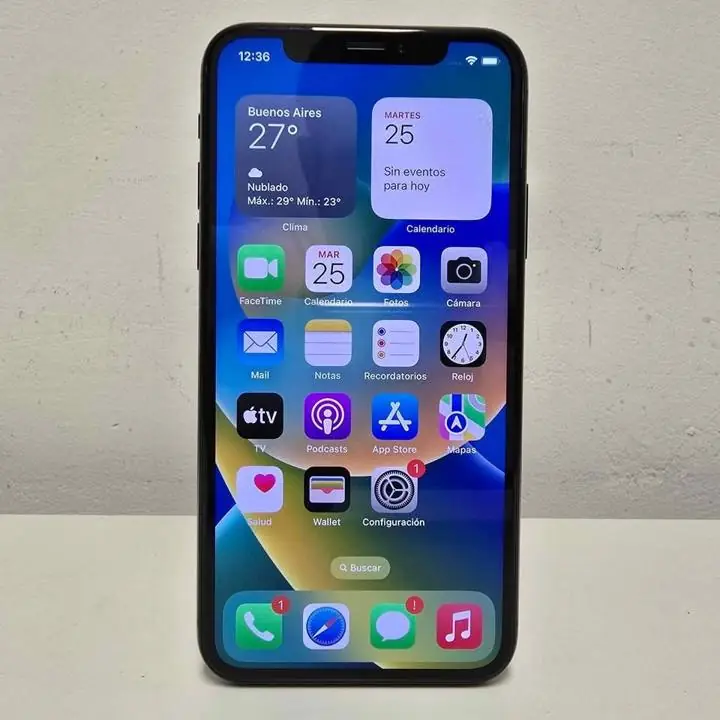 iPhone x 256gb batería 100%