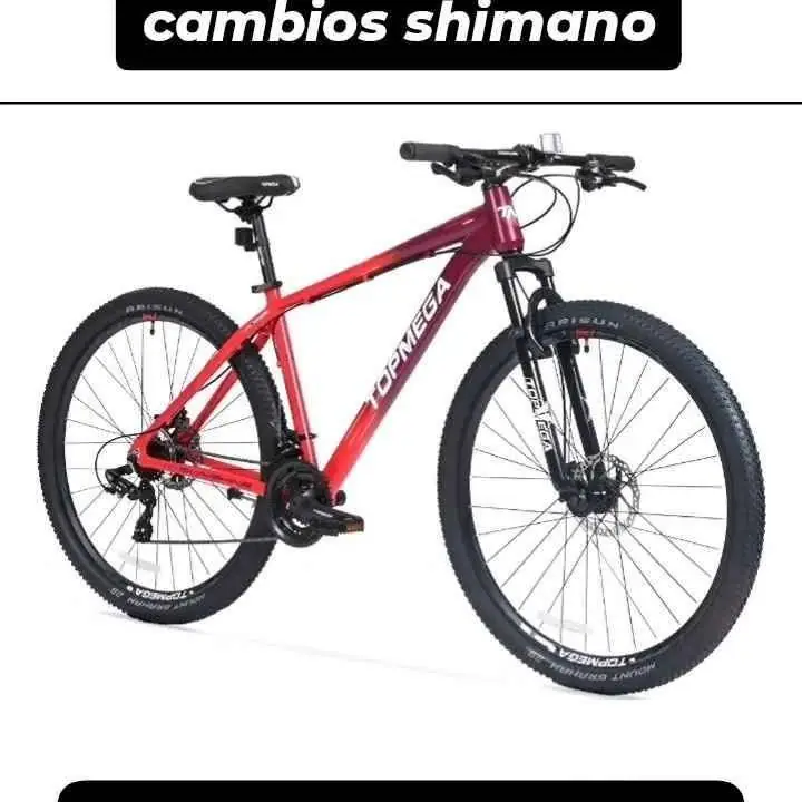 BICI MTB TOPMEGA R29 SUNSHINE talla xs cambios shimano