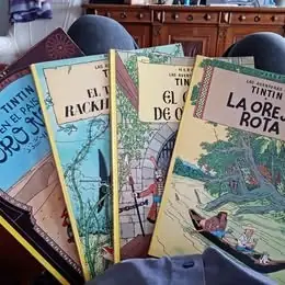 Lote coleccionable Comic de Tin Tin y Milu
