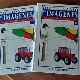 Lote colección enciclopedias y diccionarios colección la Nación