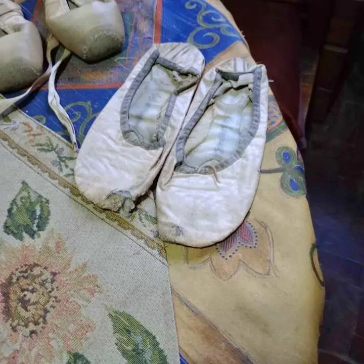 Zapatillas de danza comunes