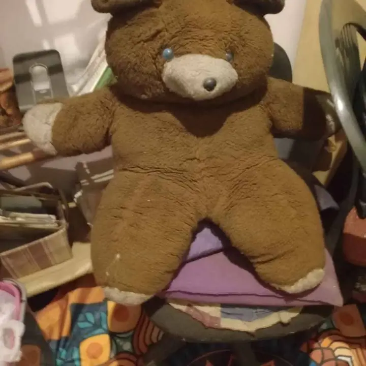 Oso grande de peluche