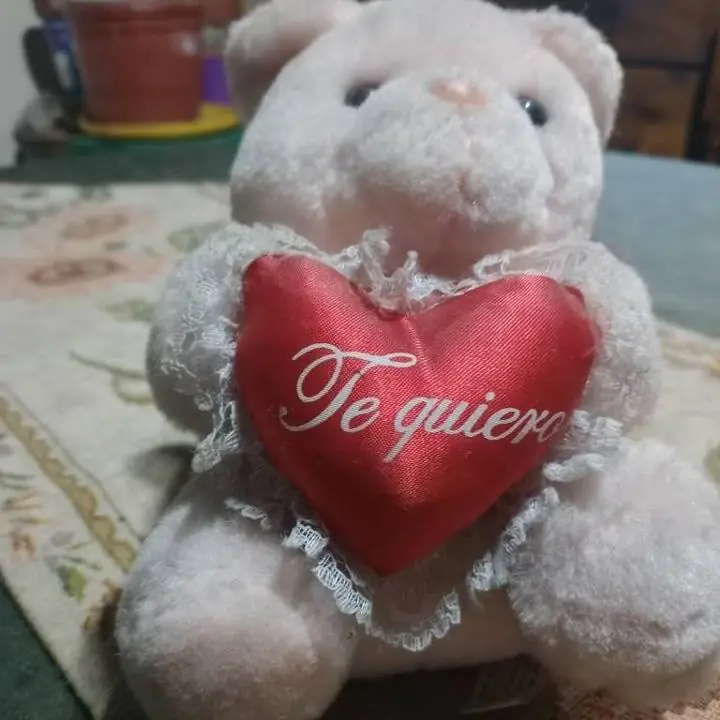 Osito de peluche y Snooppy cada uno 3000$