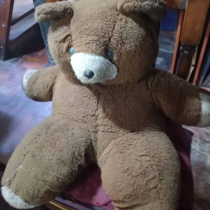 Oso grande peluche