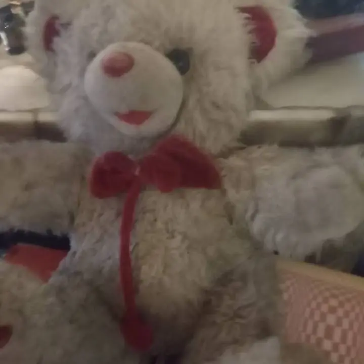Oso de peluche hermoso
