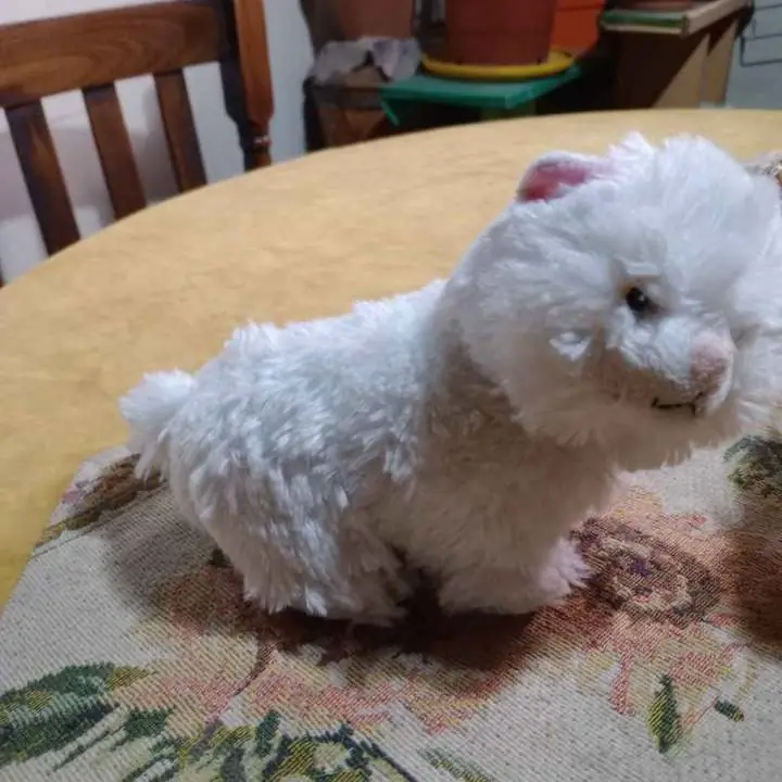 Hermosos peluches ...no tienen sonidos pero súper dulces!