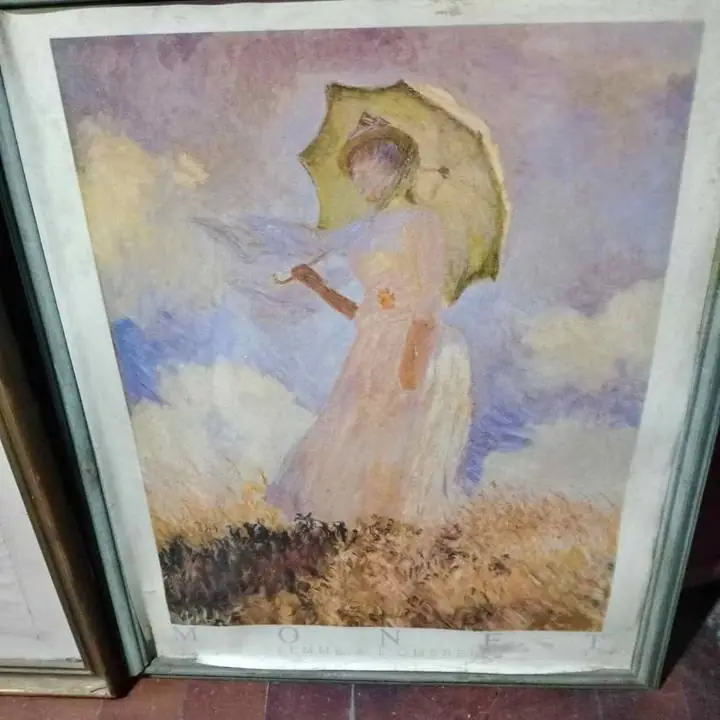 Cuadros Monett de 8x65 y 43x 54