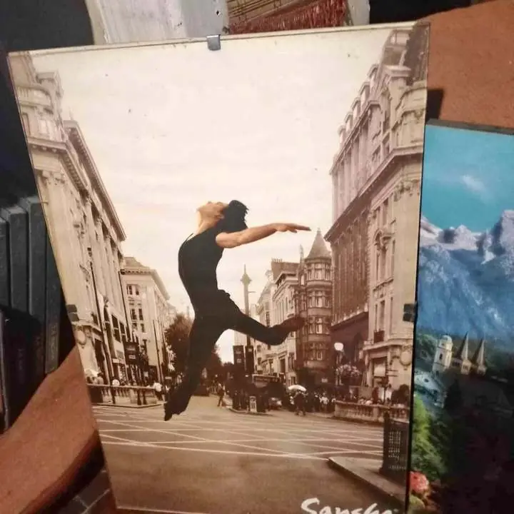 Cuadro Lámina Julio Bocca