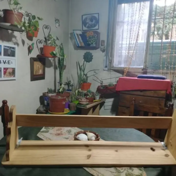 Repisa de madera fuerte lista para colgar