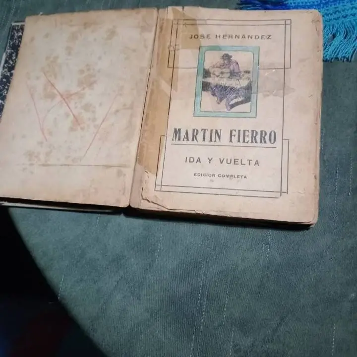 Martin Fierro ( ida y vuelta)