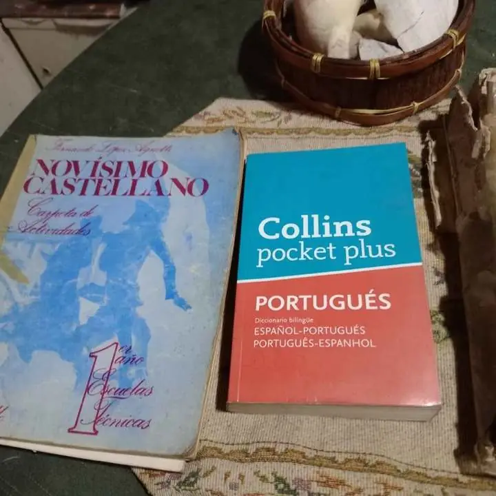 Libros escolares, diccionarios castellano y portugués encicloedias todas las materias
