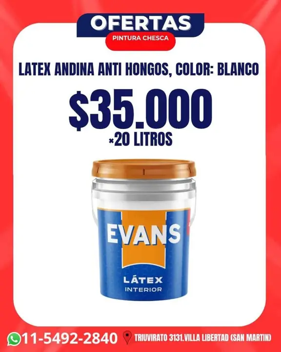 Látex interior anti hongos