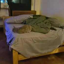 Oportunidad! oferta! cama con colchón en excelente estado
