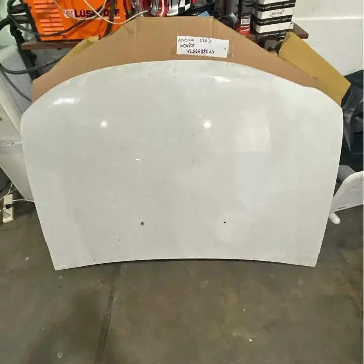 Capot Renault Duster Original con detalle