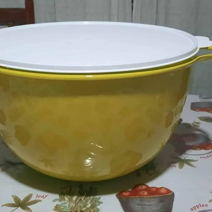 Tupperware 14 litros