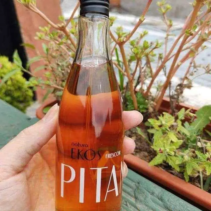 Natura pitanga