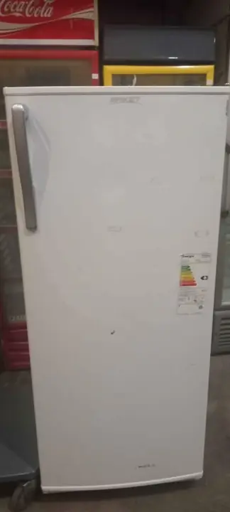 Frizzer vertical