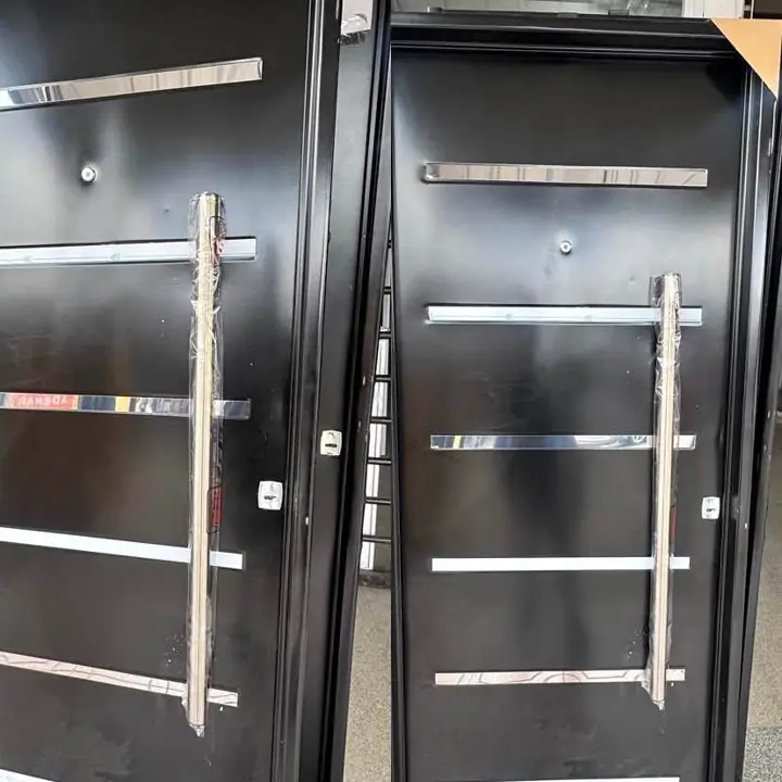 Puerta doble chapa inyectada barral y apliques