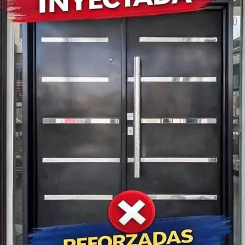 Puerta doble chapa inyectada