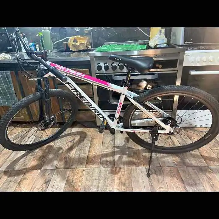 Vendo bicicleta R29