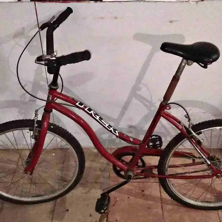 Bici 24 trek