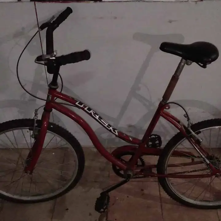 Bicicleta trek rodado 24