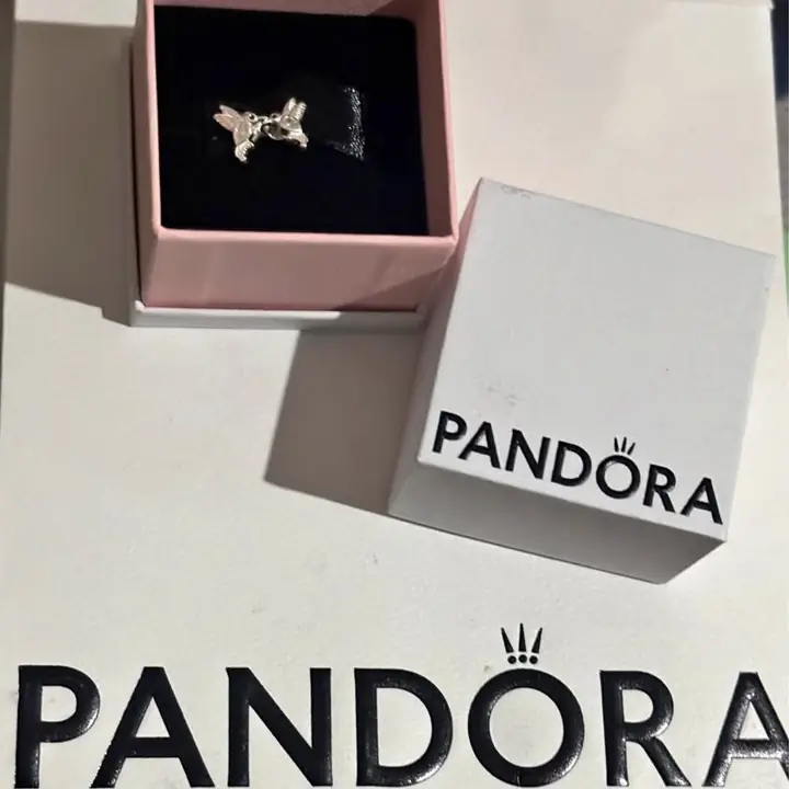 Aros de plata 925 Pandora envíos o entregas personales! Compra uno y llévate otro al 50 de descuento