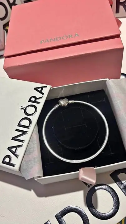 Pulsera de Pandora rígida moment plata 925 sellada ! Original en caja y bolsa única en stock