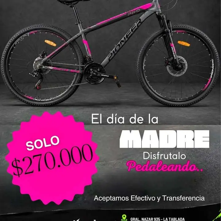 Bicicleta nueva R29 de Acero
