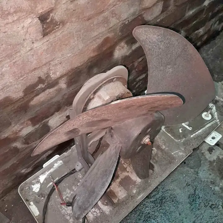 Motor