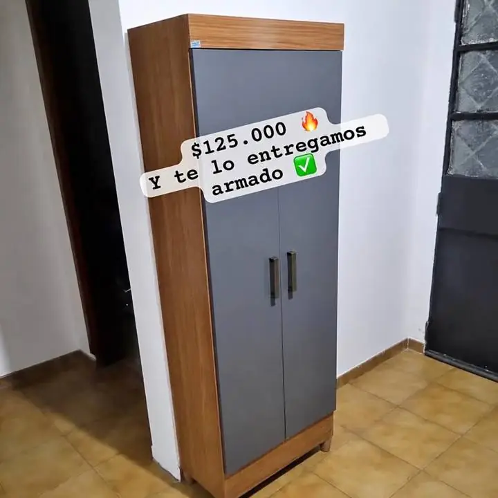 Muebles multiuso 2 puertas