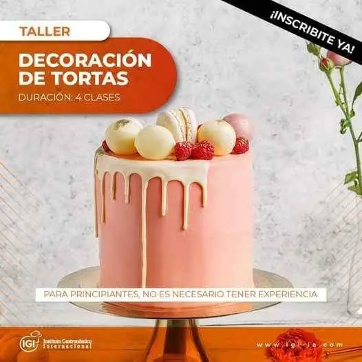 Cursos de verano
