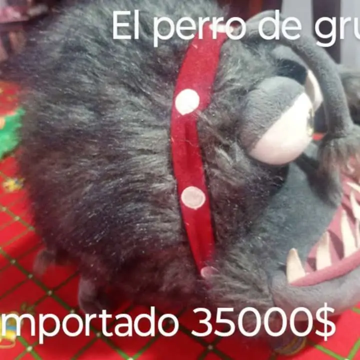 Perro de d los miñon Lanus este cel c reserva con seña