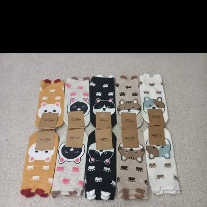 10 Pares x $1700