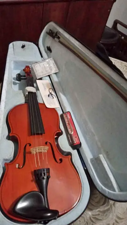 Violini