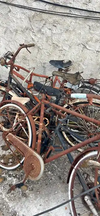 Bicicleta retro el lote